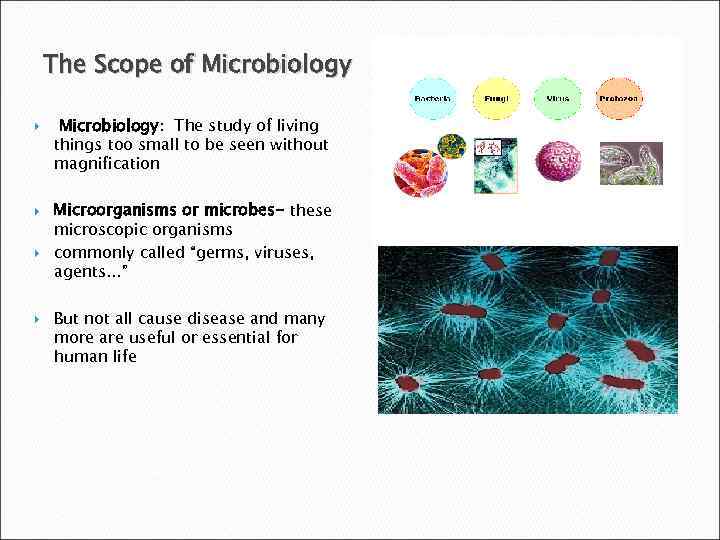 The Scope of Microbiology Microbiology: The study of living things too small to be