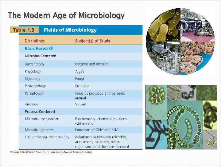 The Modern Age of Microbiology 