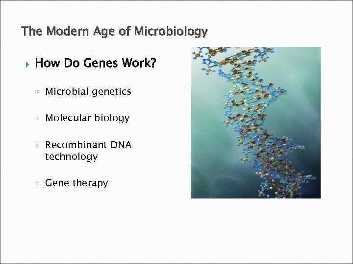 The Modern Age of Microbiology How Do Genes Work? ◦ Microbial genetics ◦ Molecular