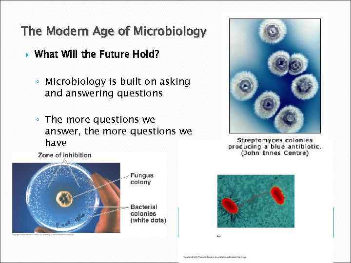 The Modern Age of Microbiology What Will the Future Hold? ◦ Microbiology is built