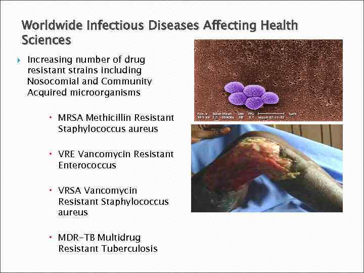 Worldwide Infectious Diseases Affecting Health Sciences Increasing number of drug resistant strains including Nosocomial