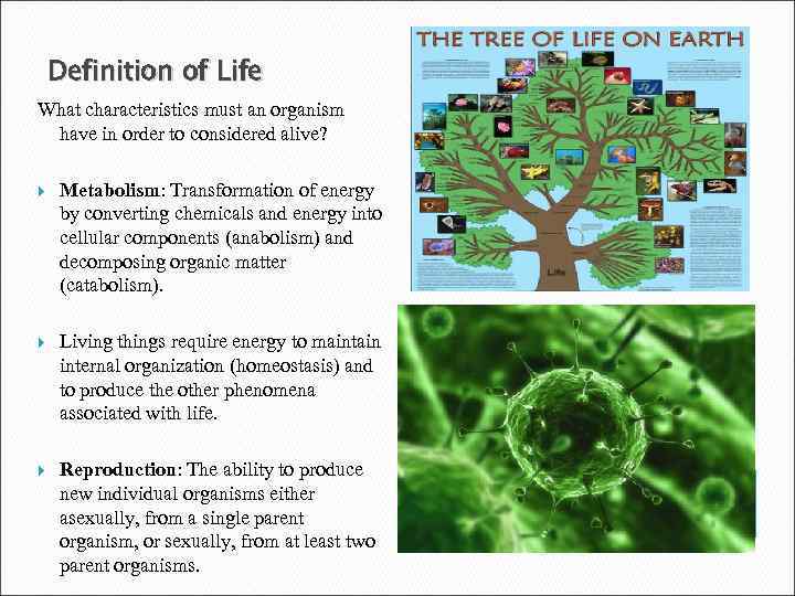 Definition of Life What characteristics must an organism have in order to considered alive?