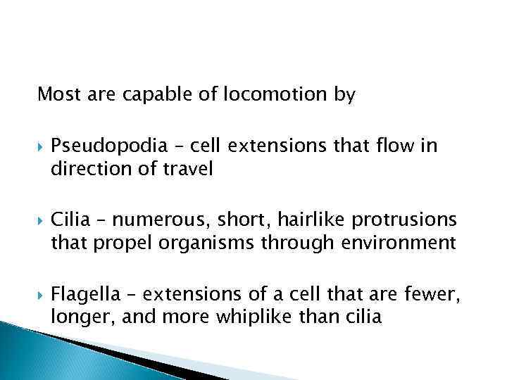 Most are capable of locomotion by Pseudopodia – cell extensions that flow in direction