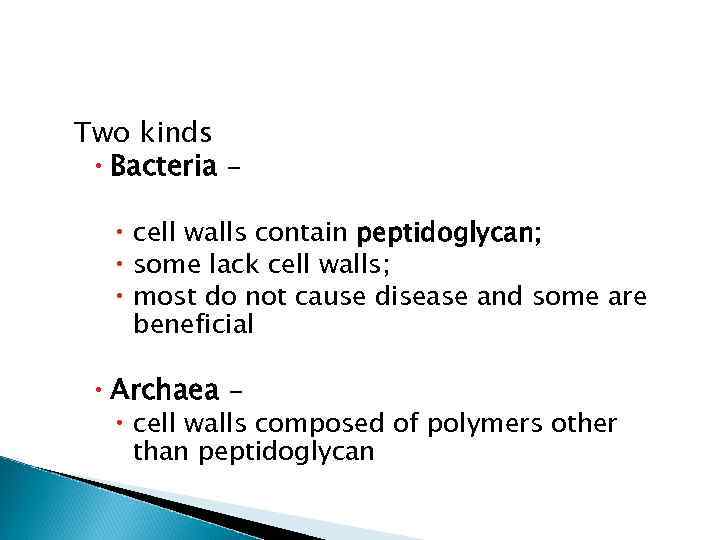 Two kinds Bacteria – cell walls contain peptidoglycan; some lack cell walls; most do