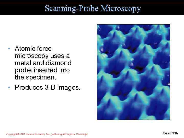 Scanning-Probe Microscopy • Atomic force microscopy uses a metal and diamond probe inserted into