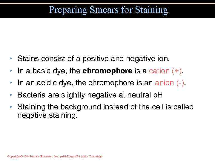 Preparing Smears for Staining • Stains consist of a positive and negative ion. •