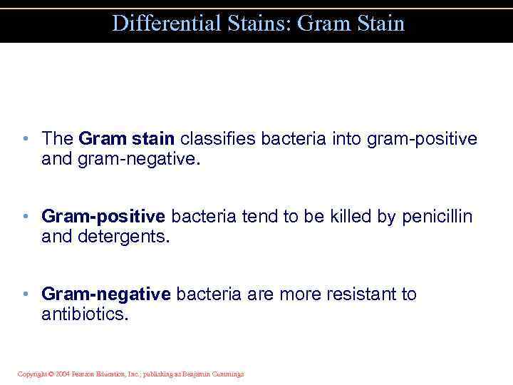 Differential Stains: Gram Stain • The Gram stain classifies bacteria into gram-positive and gram-negative.