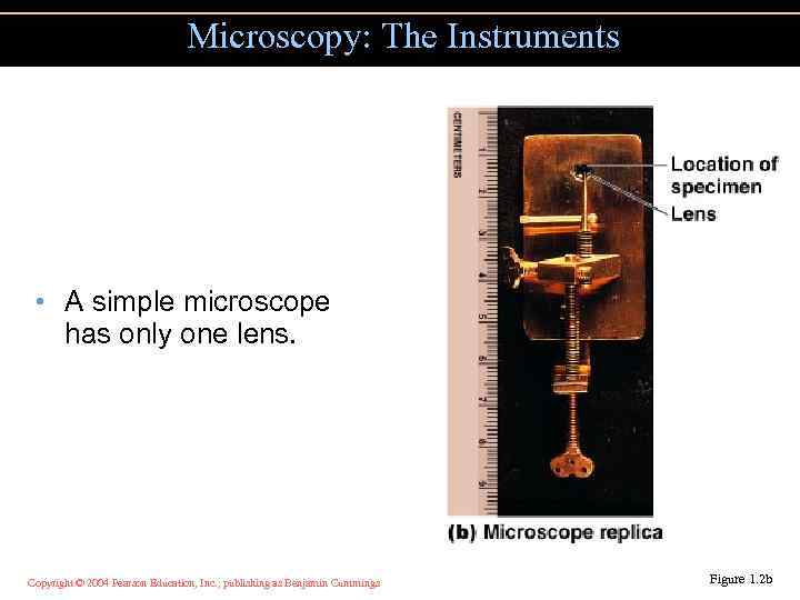 Microscopy: The Instruments • A simple microscope has only one lens. Copyright © 2004