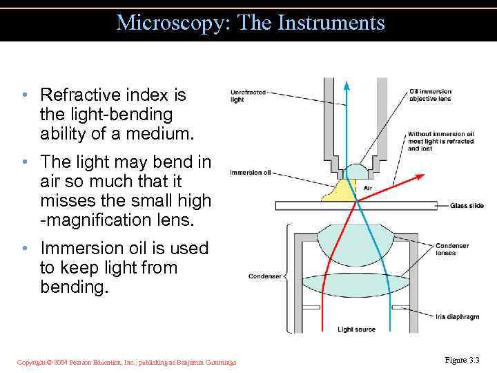 Microscopy: The Instruments • Refractive index is the light-bending ability of a medium. •