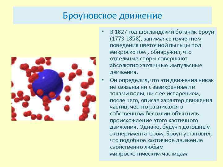 Броуновское движение • В 1827 год шотландский ботаник Броун (1773 1858), занимаясь изучением поведения