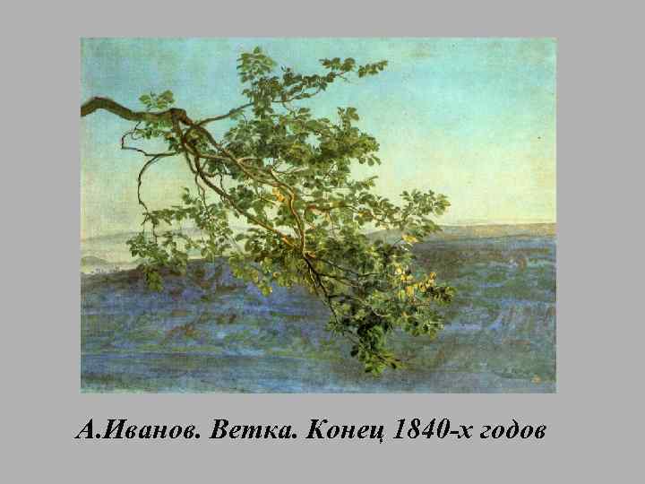 А. Иванов. Ветка. Конец 1840 -х годов 