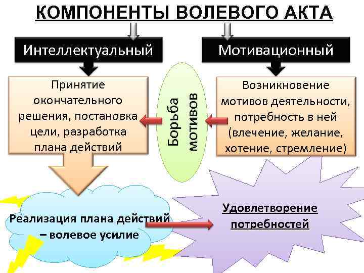 Акт воли. Компоненты волевых действий. Этапы волевого акта. Когнитивные компоненты волевого акта. Компоненты структуры волевого акта.