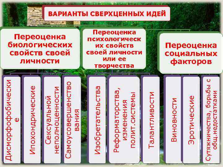 Сутяжничества, борьбы с общ. недостатками Эротические Переоценка психологическ их свойств своей личности или ее