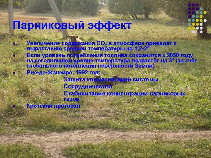 Парниковый эффект l l l Увеличение содержания СО 2 в атмосфере приведёт к вырастанию