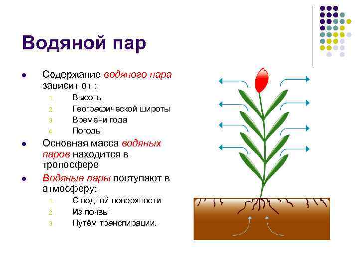 Пар состав. Химический состав водяного пара. Строение водяного пара. Водяной пар химический состав. Химический состав пара воды.