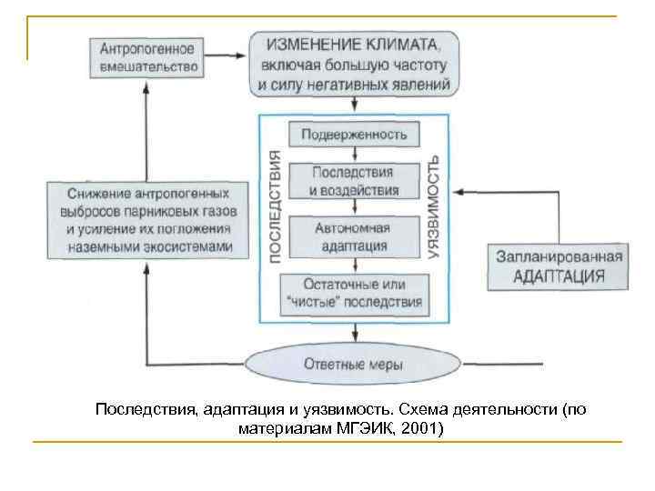 Последствия, адаптация и уязвимость. Схема деятельности (по материалам МГЭИК, 2001) 
