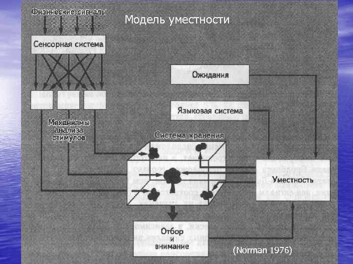 Модель уместности (Norman 1976) 