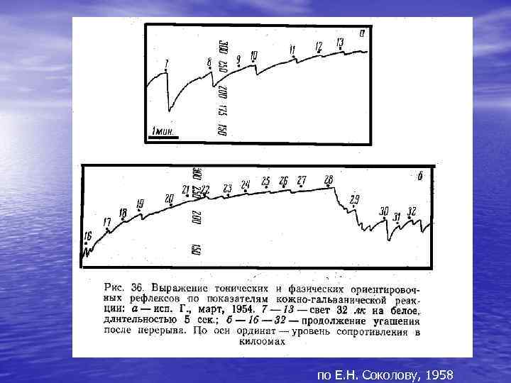 по Е. Н. Соколову, 1958 