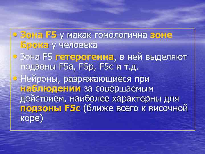  • Зона F 5 у макак гомологична зоне Брока у человека • Зона