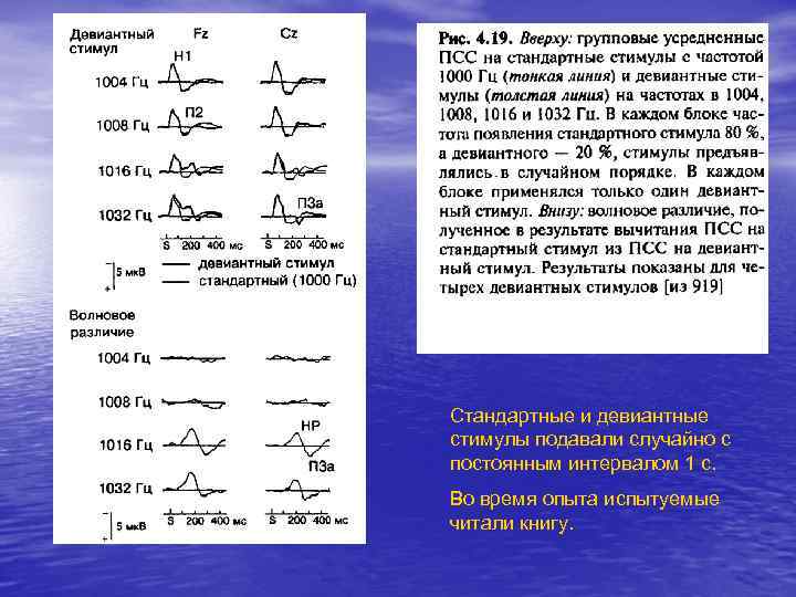 Стандартные и девиантные стимулы подавали случайно с постоянным интервалом 1 с. Во время опыта