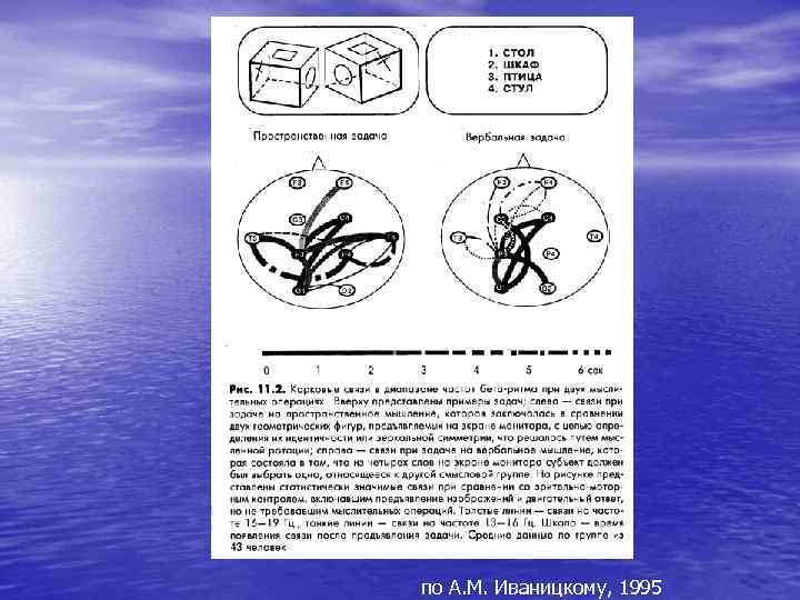 по А. М. Иваницкому, 1995 
