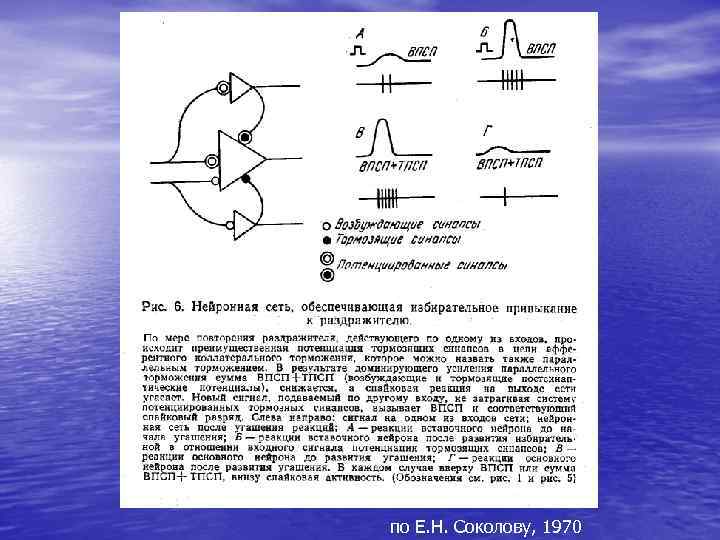 по Е. Н. Соколову, 1970 