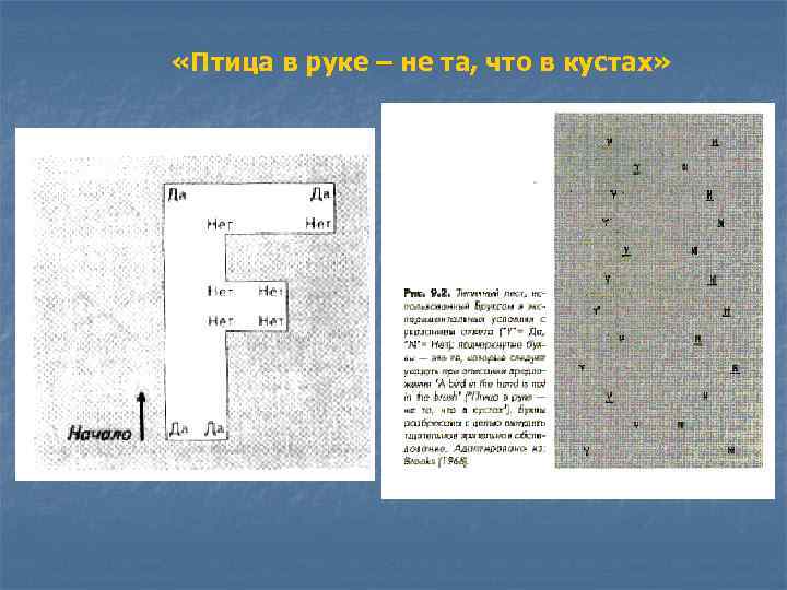  «Птица в руке – не та, что в кустах» 