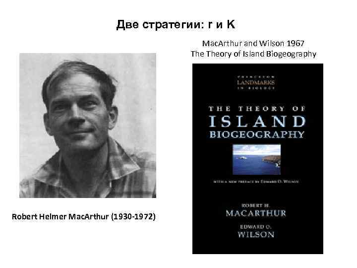 Две стратегии: r и K Mac. Arthur and Wilson 1967 Theory of Island Biogeography