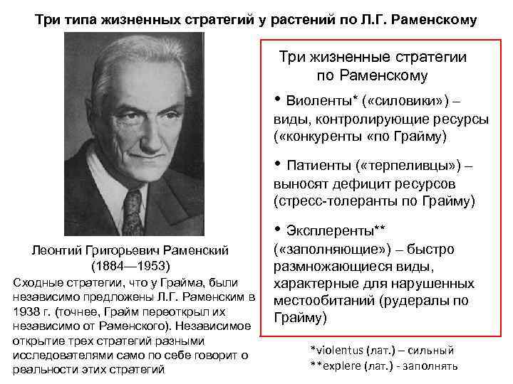 Три типа жизненных стратегий у растений по Л. Г. Раменскому Три жизненные стратегии по