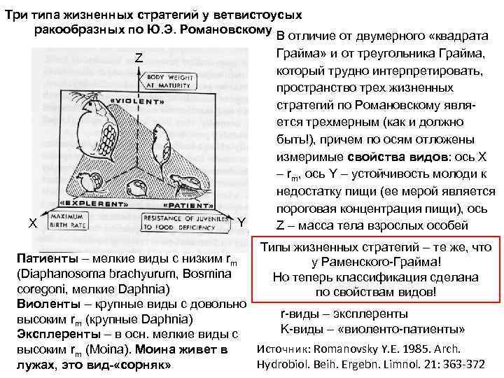 Три типа жизненных стратегий у ветвистоусых ракообразных по Ю. Э. Романовскому В отличие от