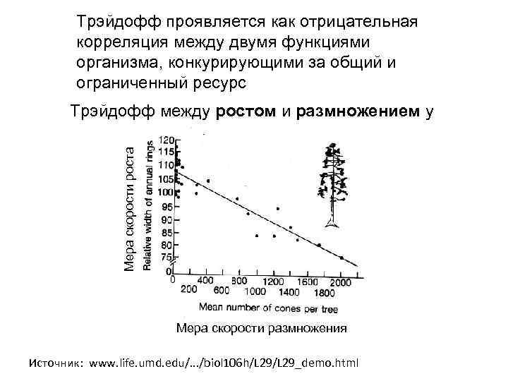 Трэйдофф проявляется как отрицательная корреляция между двумя функциями организма, конкурирующими за общий и ограниченный