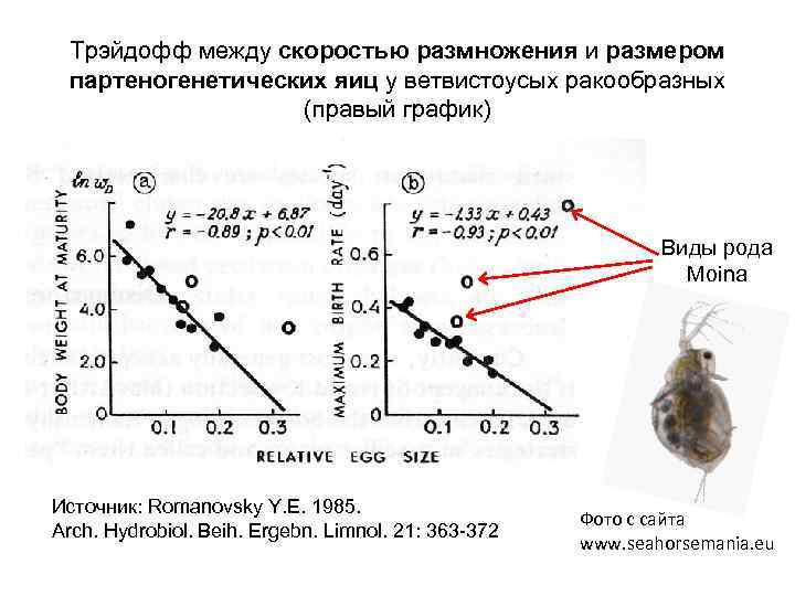 Трэйдофф между скоростью размножения и размером партеногенетических яиц у ветвистоусых ракообразных (правый график) Виды