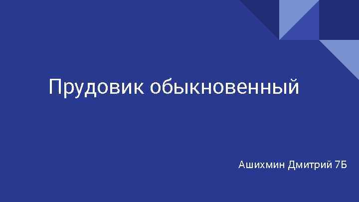 Прудовик обыкновенный Ашихмин Дмитрий 7 Б 