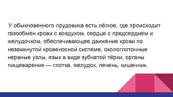 У обыкновенного прудовика есть лёгкое, где происходит газообмен крови с воздухом, сердце с предсердием
