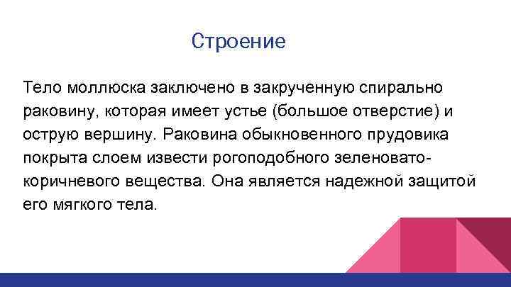 Строение Тело моллюска заключено в закрученную спирально раковину, которая имеет устье (большое отверстие) и