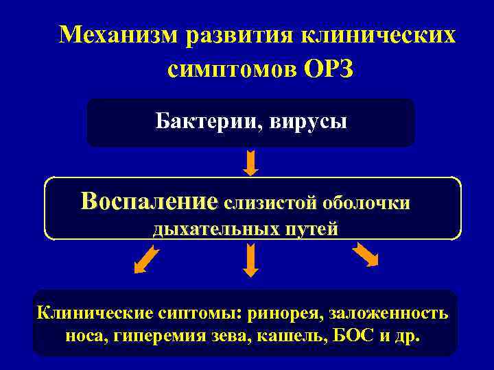 Механизм развития клинических симптомов ОРЗ Бактерии, вирусы Воспаление слизистой оболочки дыхательных путей Клинические сиптомы: