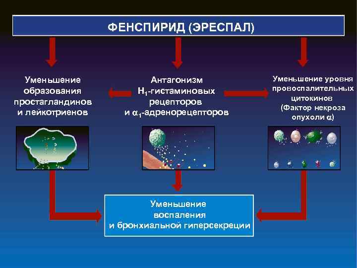 ФЕНСПИРИД (ЭРЕСПАЛ) Уменьшение образования простагландинов и лейкотриенов Антагонизм Н 1 -гистаминовых рецепторов и 1