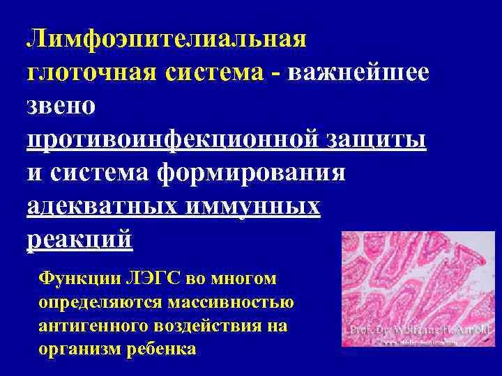 Лимфоэпителиальная глоточная система - важнейшее звено противоинфекционной защиты и система формирования адекватных иммунных реакций
