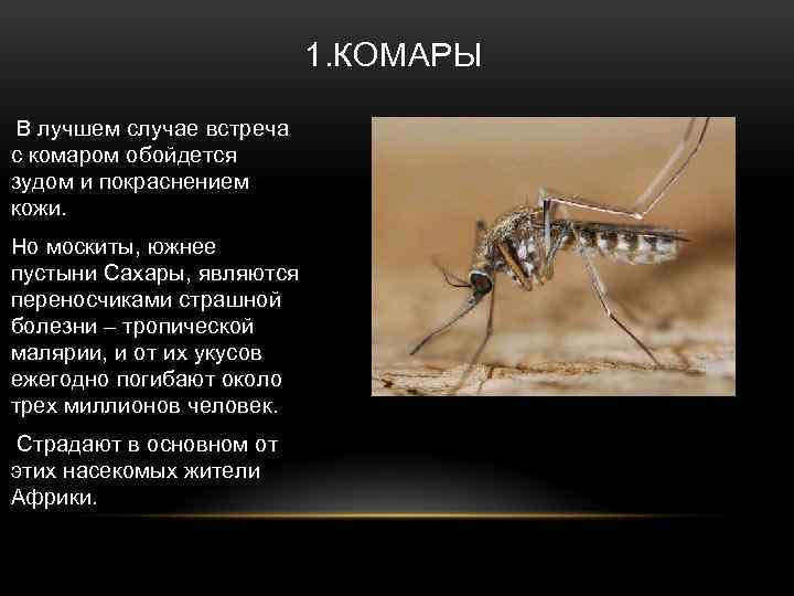 1. КОМАРЫ В лучшем случае встреча с комаром обойдется зудом и покраснением кожи. Но