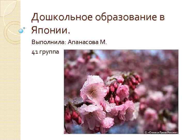 Дошкольное образование в Японии. Выполнила: Апанасова М. 41 группа 