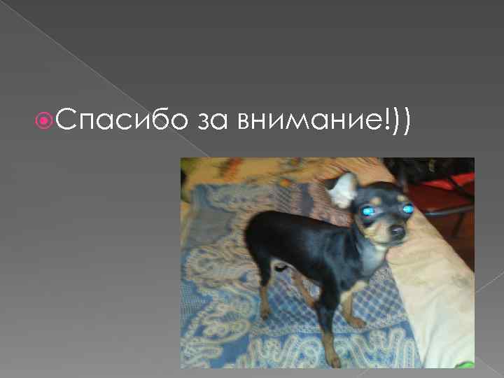  Спасибо за внимание!)) 