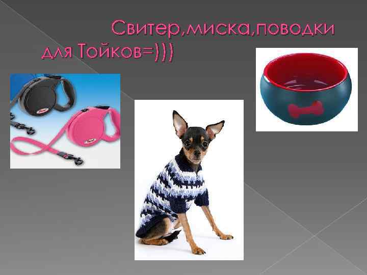 Свитер, миска, поводки для Тойков=))) 
