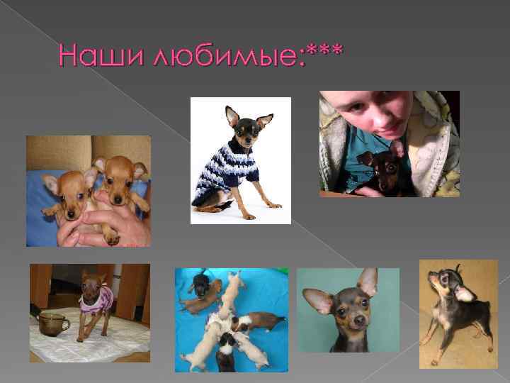 Наши любимые: *** 