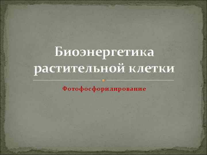 Биоэнергетика растительной клетки Фотофосфорилирование 