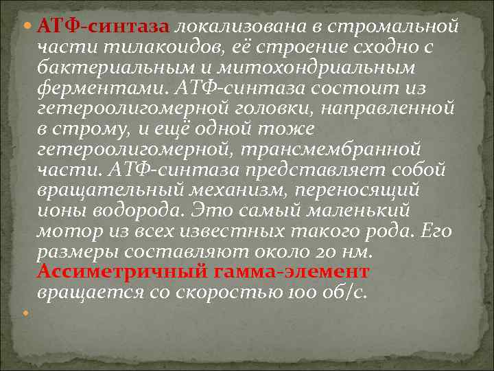  АТФ-синтаза локализована в стромальной части тилакоидов, её строение сходно с бактериальным и митохондриальным