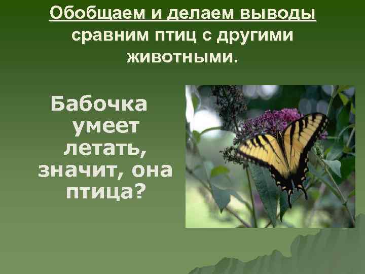 Обобщаем и делаем выводы сравним птиц с другими животными. Бабочка умеет летать, значит, она