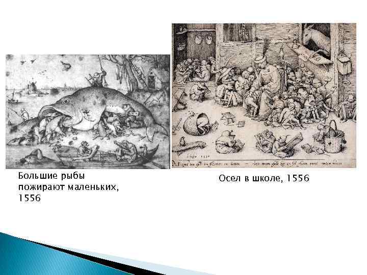 Большие рыбы пожирают маленьких, 1556 Осел в школе, 1556 