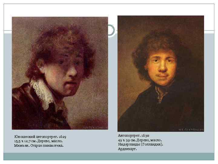 Юношеский автопортрет. 1629 15, 5 x 12, 7 см. Дерево, масло. Мюнхен. Старая пинакотека.