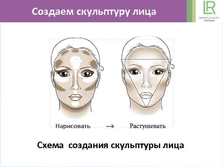 Создаем скульптуру лица Схема создания скульптуры лица 