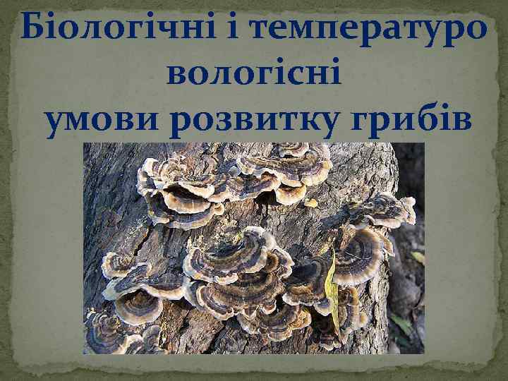 Біологічні і температуро вологісні умови розвитку грибів 